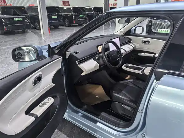 Dongfeng Nano 01 2024