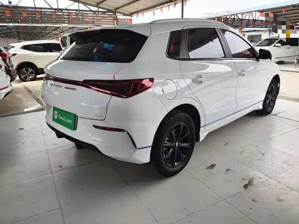 BYD e2 2020