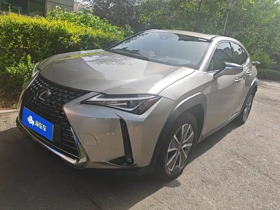 Lexus UX New Energy 2021