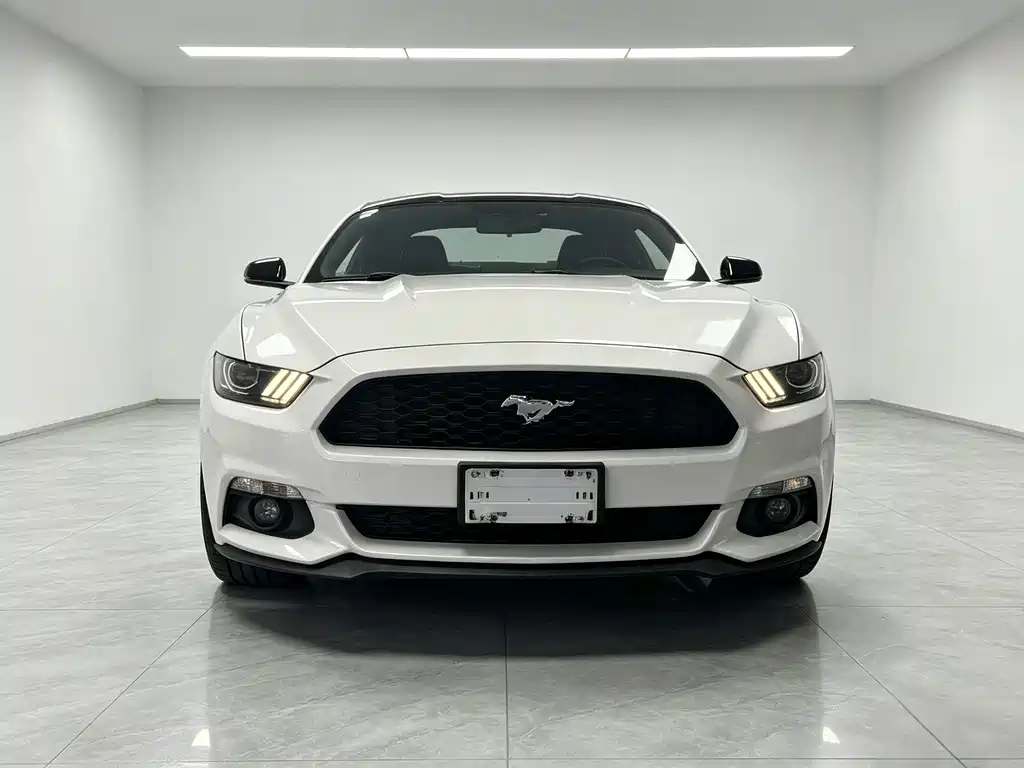 Ford Mustang 2017 — фото 2