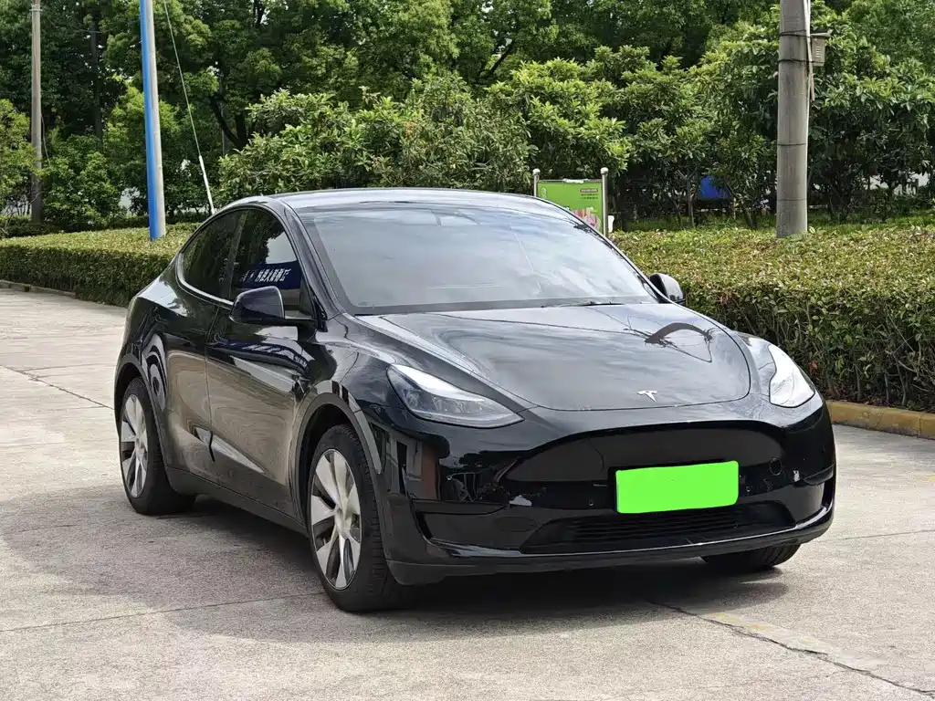 Tesla Model Y 2021 — фото 3