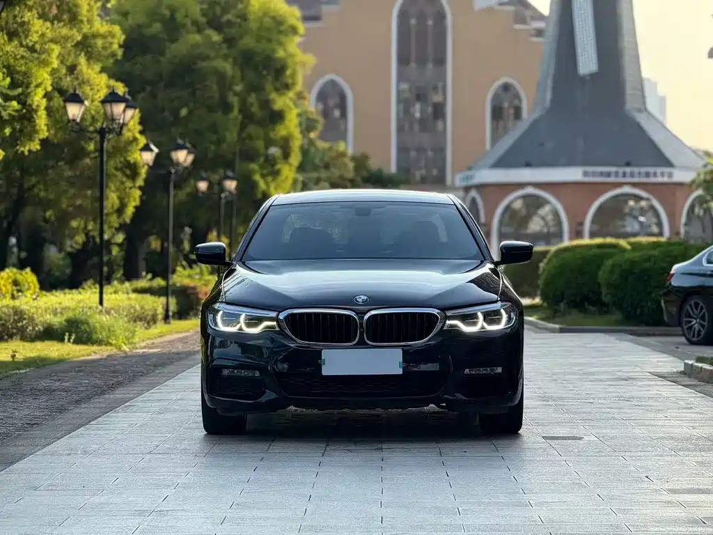 BMW 5 Series 2017 — фото 2