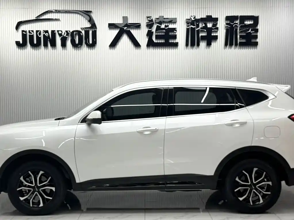 Haval H6 2023 — фото 8