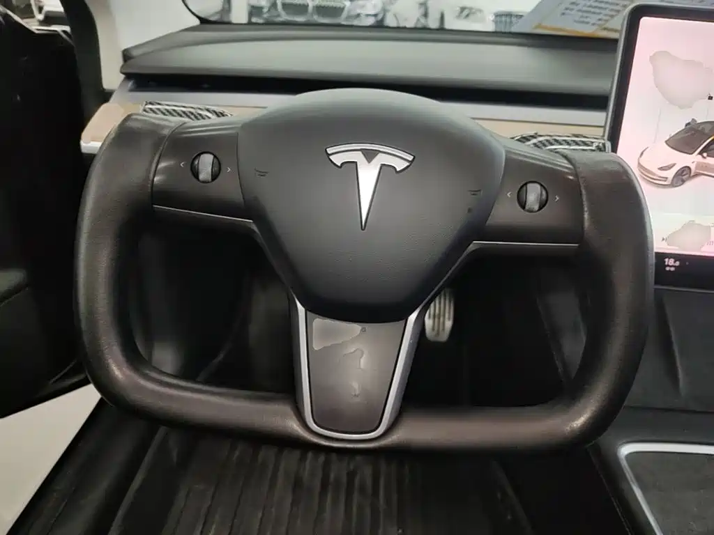 Tesla Model 3 2021 — фото 11
