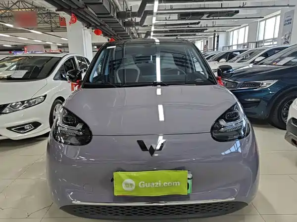 Wuling Bingo 2024