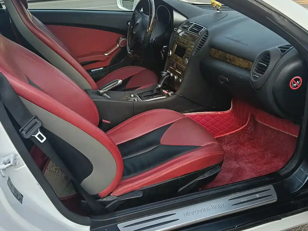 Mercedes-Benz SLK-Class 2010 — фото 10