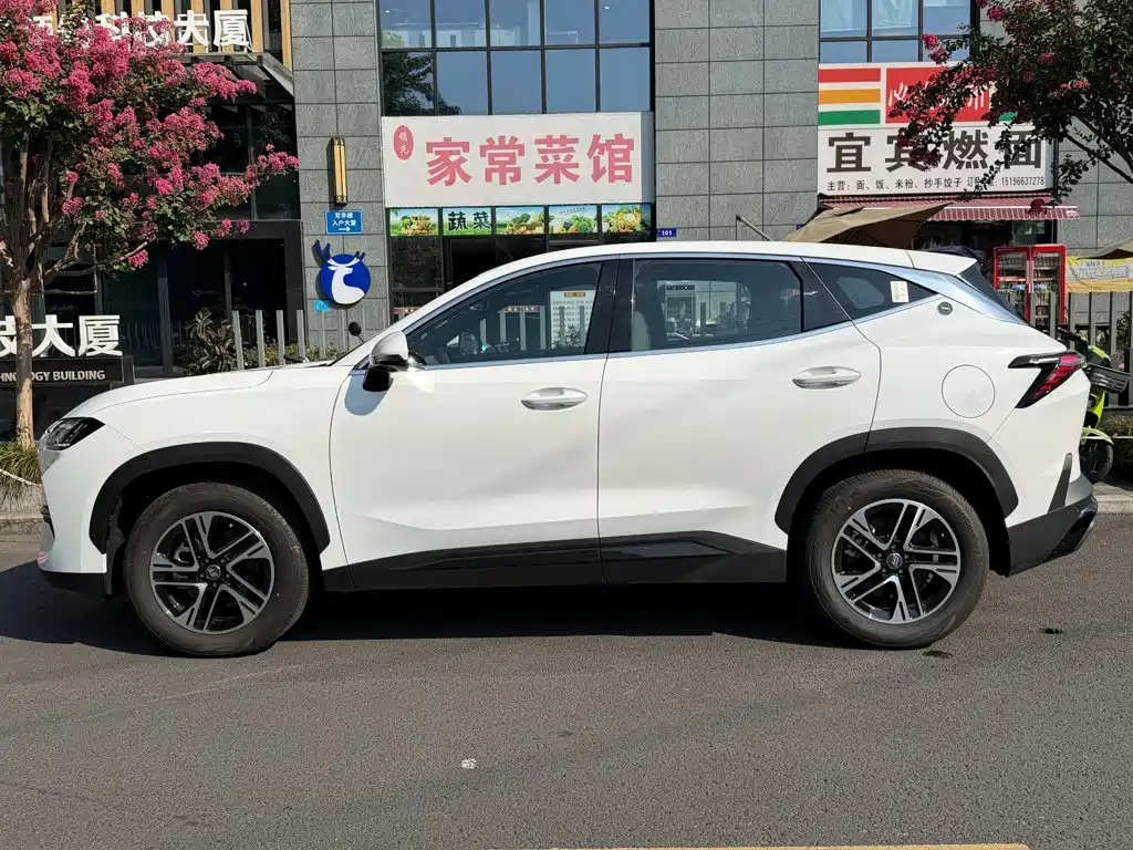 Jetour Shanhai L6 2025 — фото 3