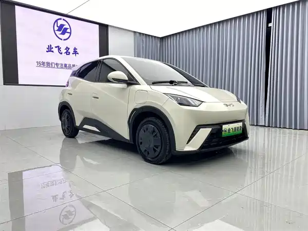 BYD Seagull 2025