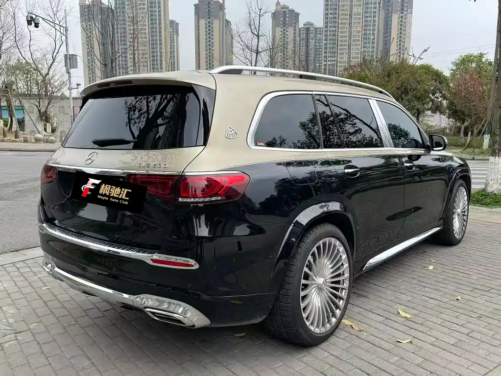 Mercedes-Benz GLS 2023 — фото 13