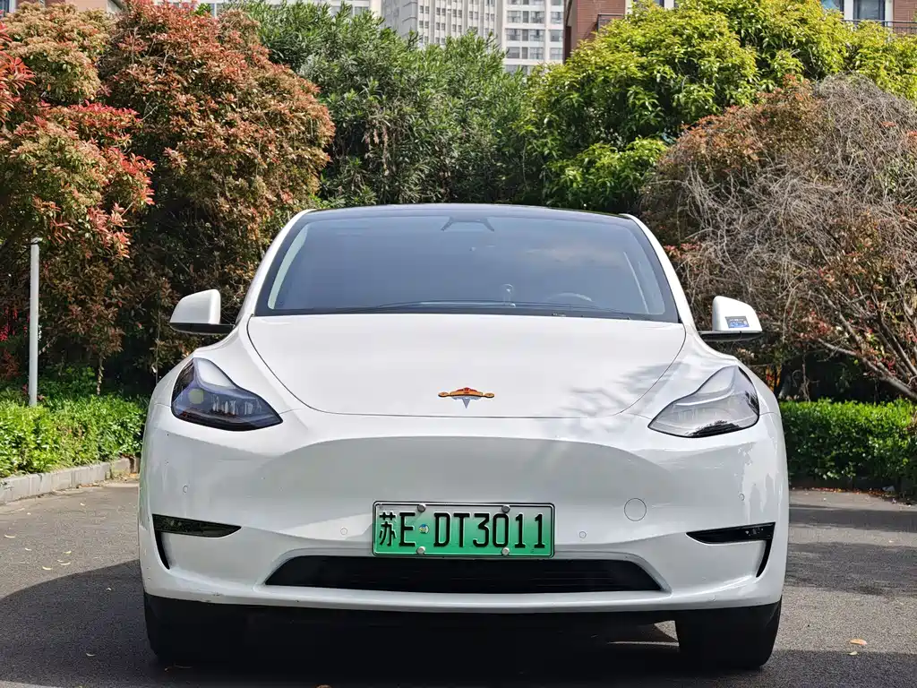 Tesla Model Y 2022 — фото 2
