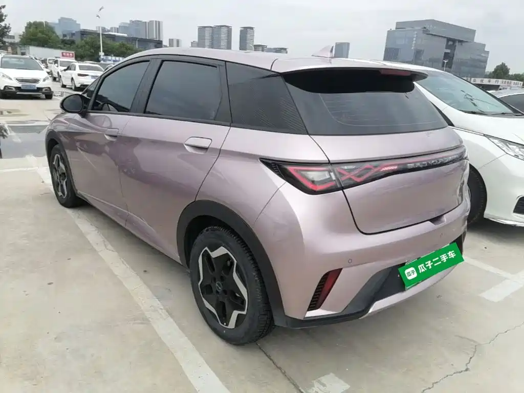 BYD Dolphin 2022