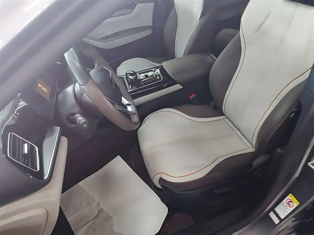 BYD Qin PLUS 2023 — фото 15