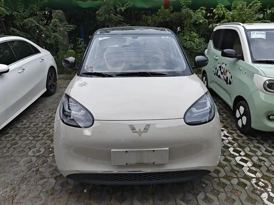 Wuling Bingo 2024