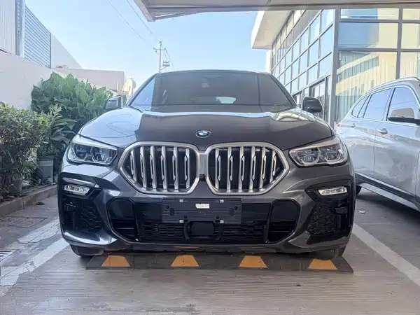 BMW X6 2021