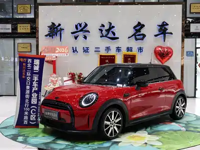 MINI MINI 2022