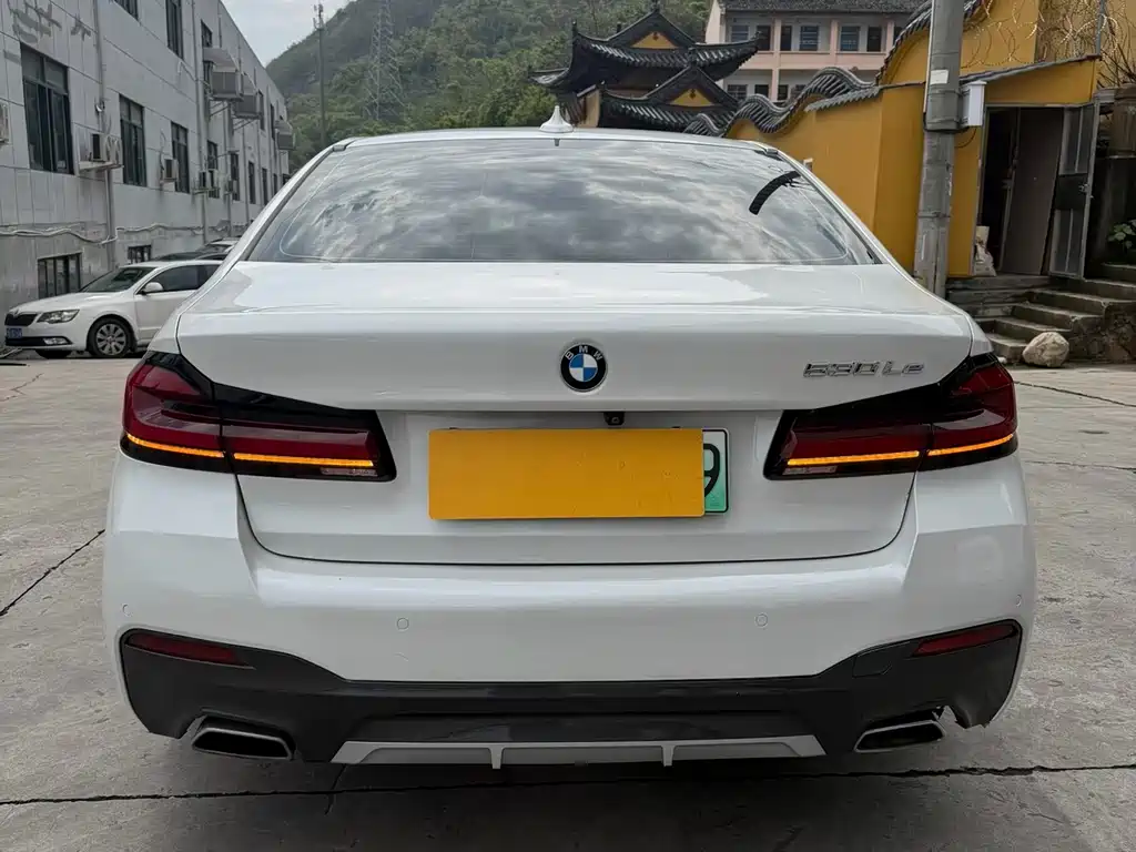 BMW 5 Series New Energy 2020 — фото 9