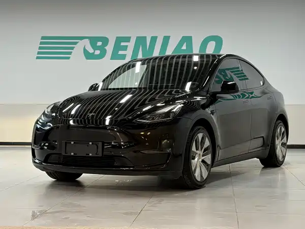 Tesla Model Y 2021