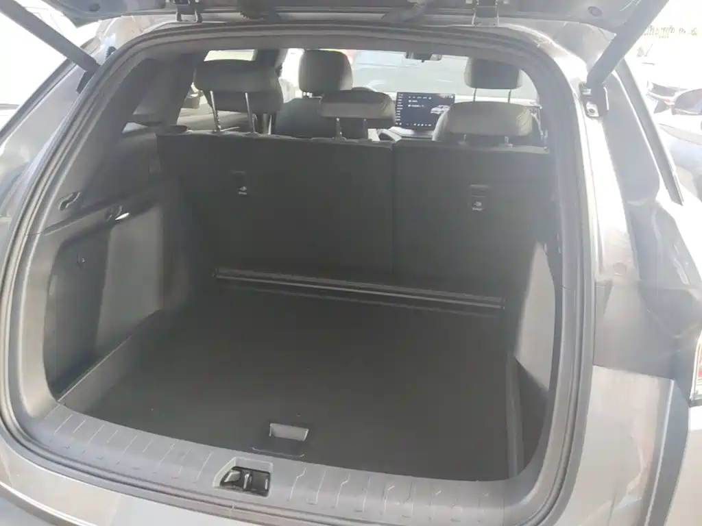 BYD Song L DM-i 2025 — фото 19