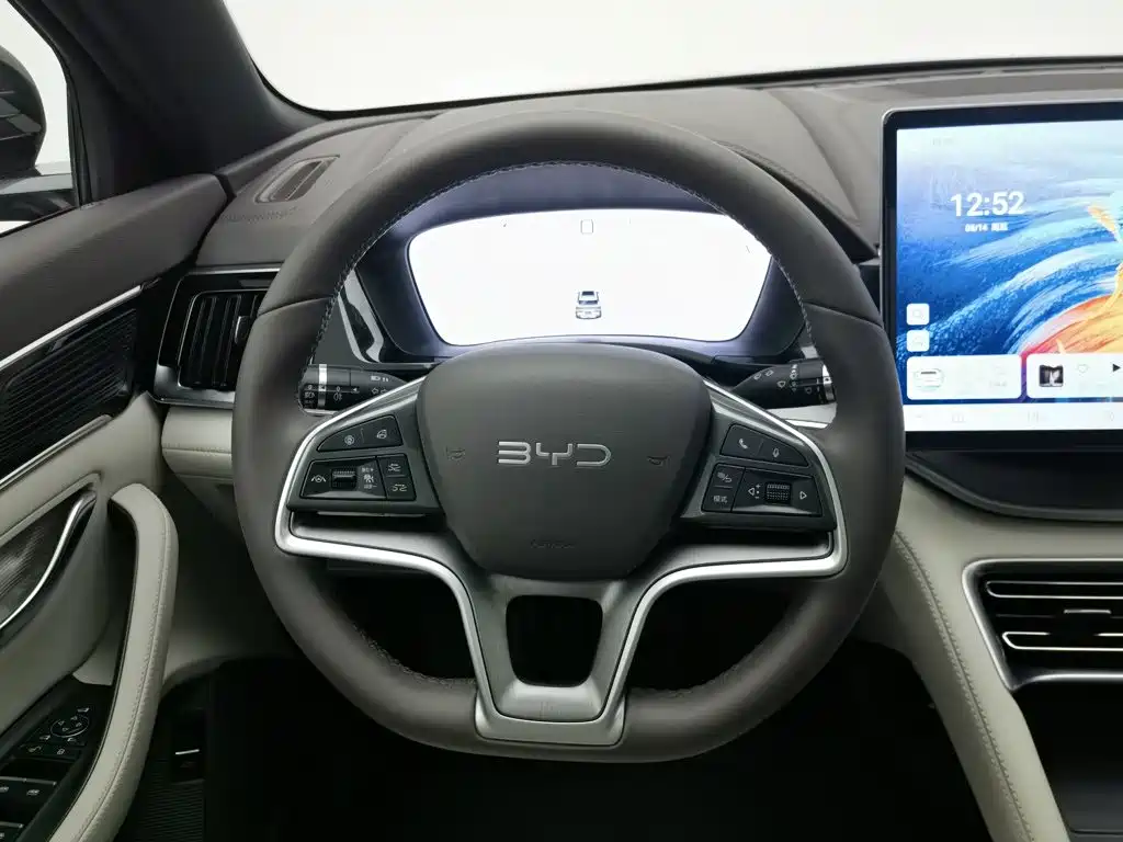 BYD Song PLUS New Energy 2024 — фото 11