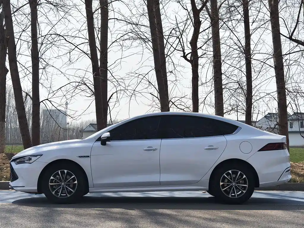 BYD Qin PLUS 2024 — фото 20