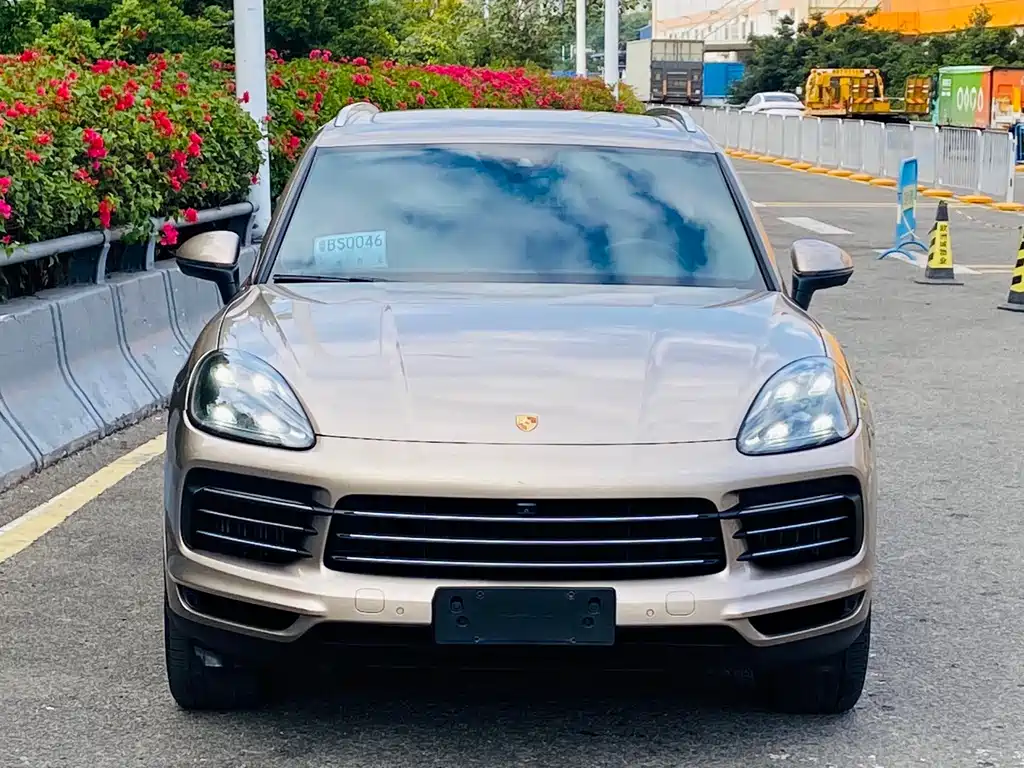 Porsche Cayenne 2019 — фото 3