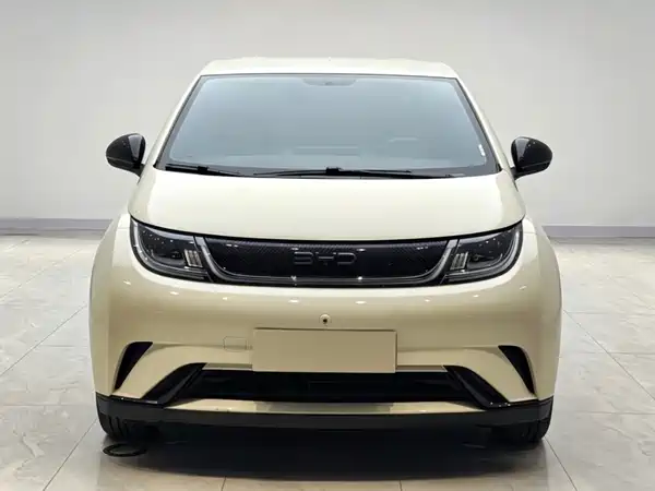 BYD Dolphin 2025