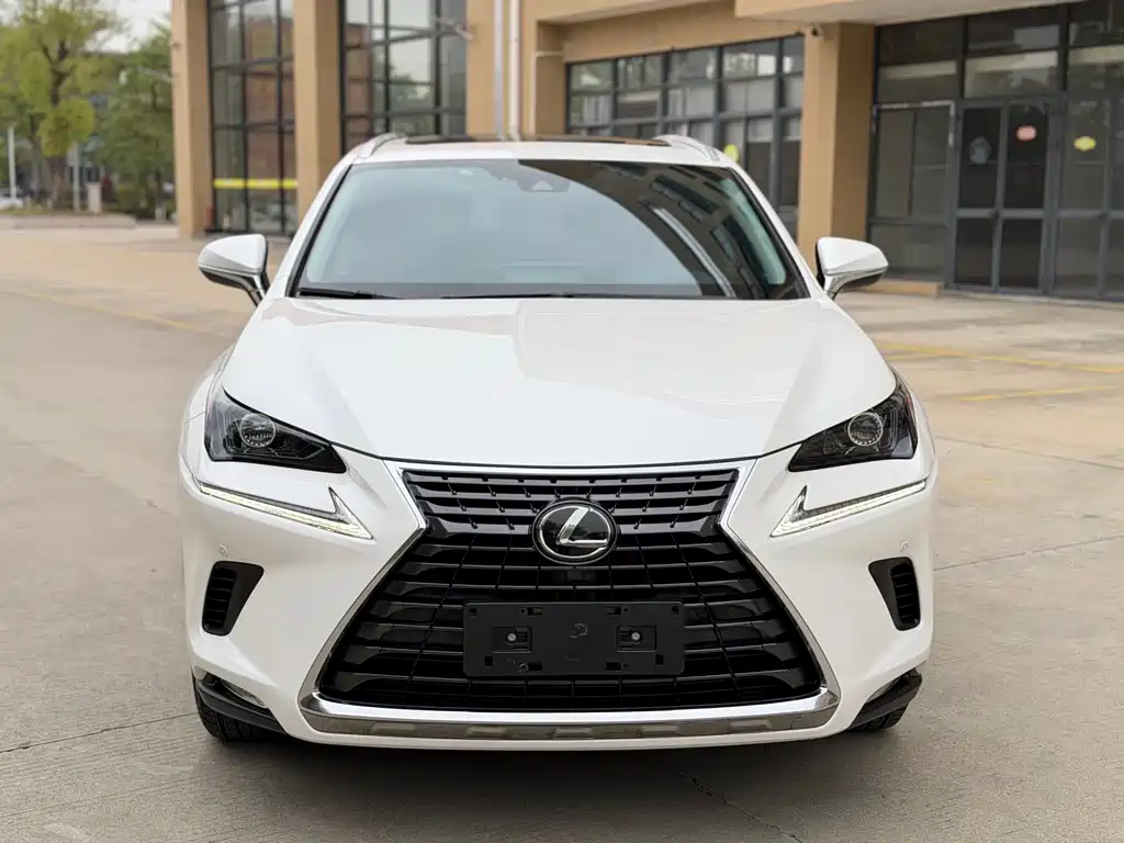 Lexus NX 2019 — фото 2
