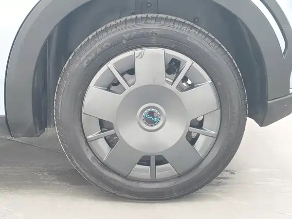BYD Seagull 2024
