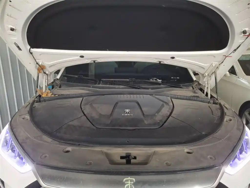 BYD PLUS New Energy 2023 — фото 20