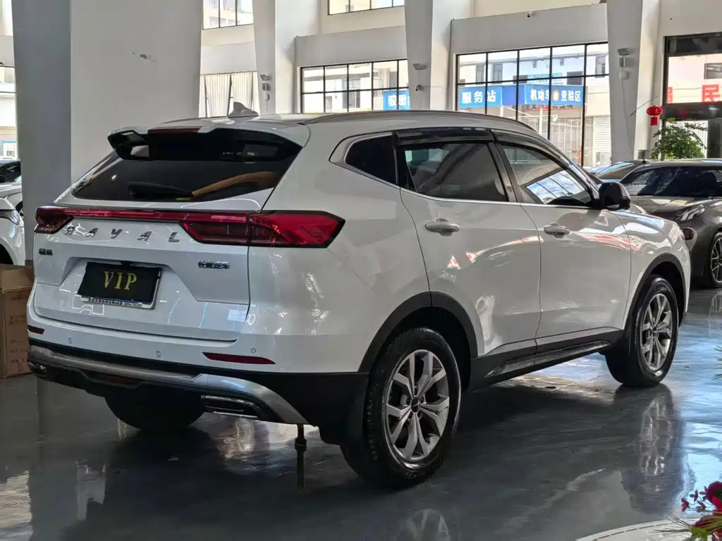 Haval H6 2023 — фото 9