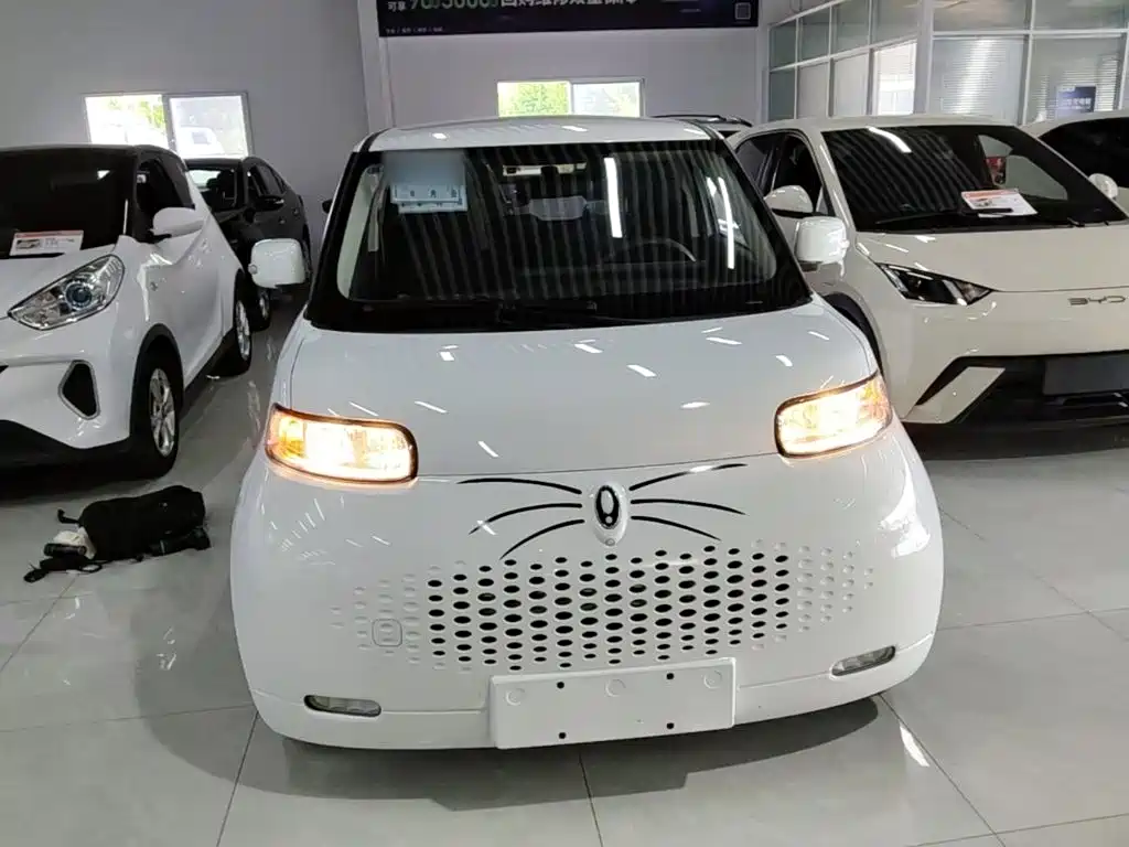 Ora White Cat 2022