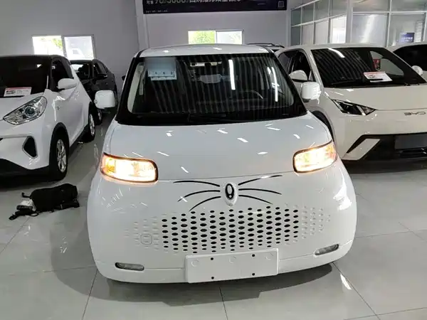 Ora White Cat 2022