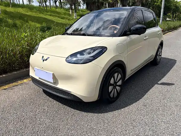 Wuling Bingo 2025