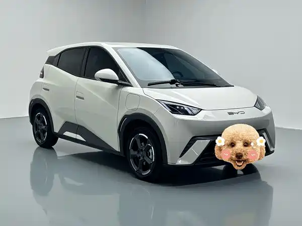 BYD Seagull 2024
