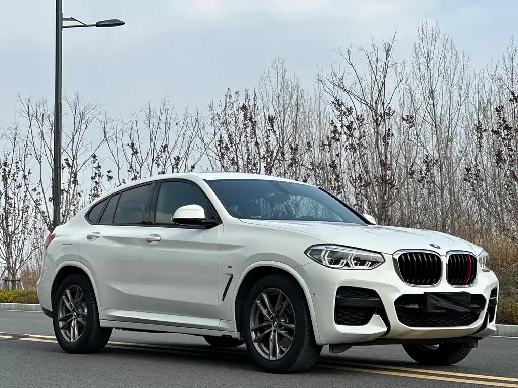 BMW X4 2019 — фото 3