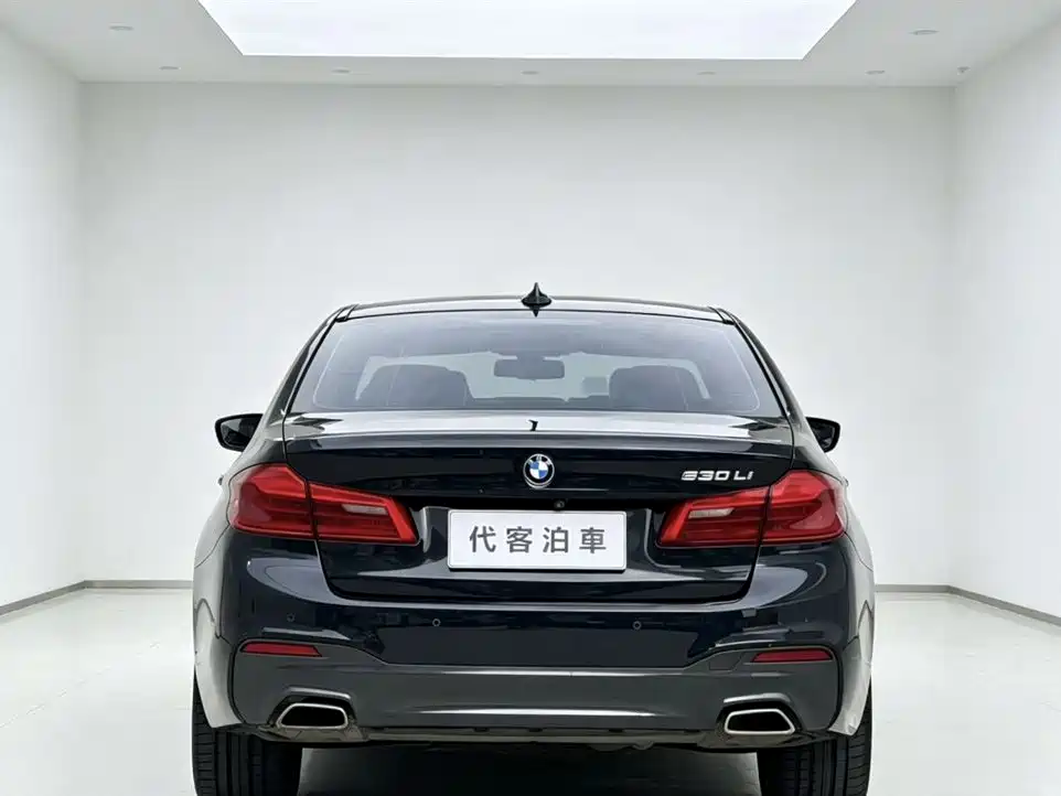 BMW 5 Series 2019 — фото 8