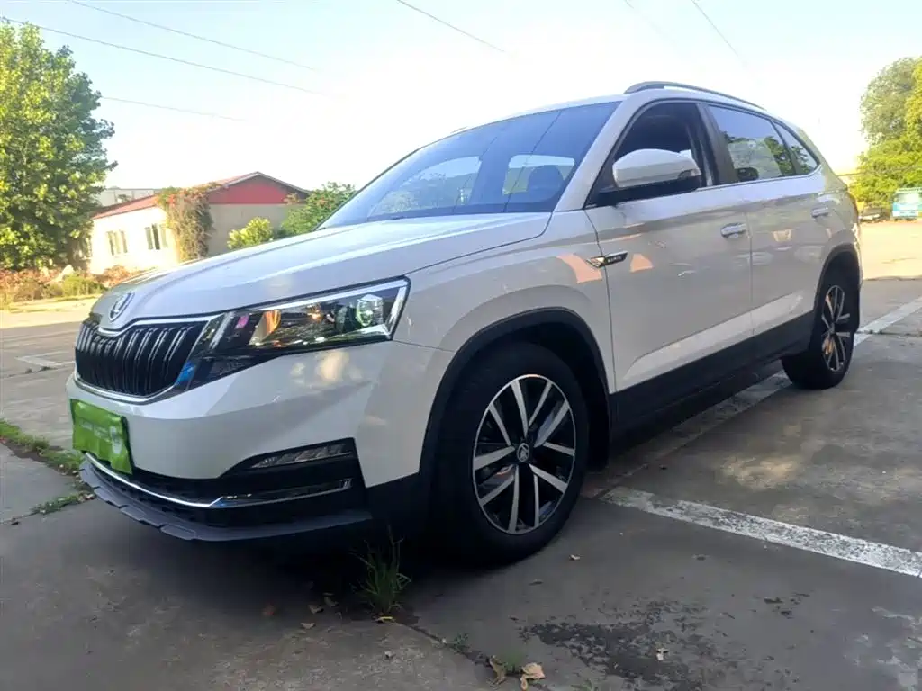 Skoda Kamiq 2019 — фото 1