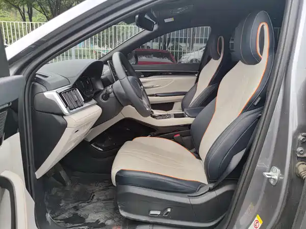 BYD Song PLUS New Energy 2021