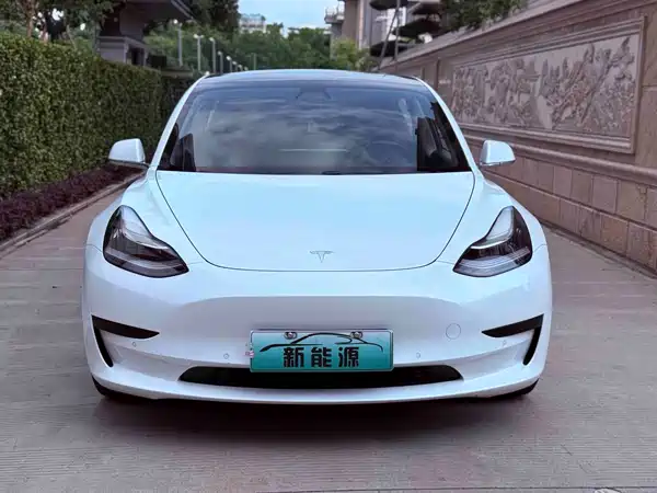 Tesla Model 3 2019