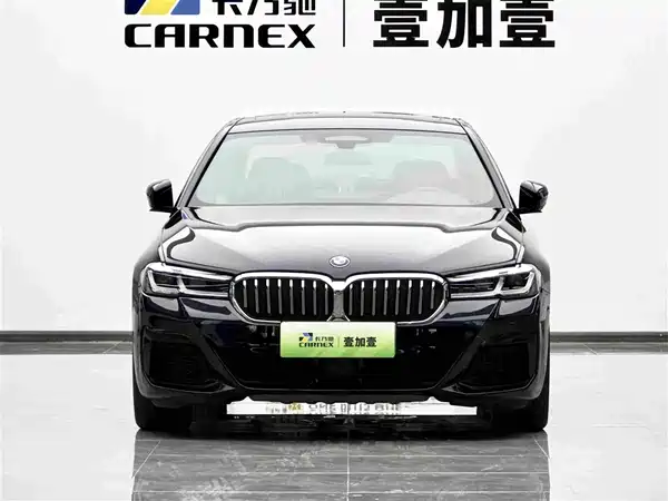 BMW 5 Series New Energy 2021