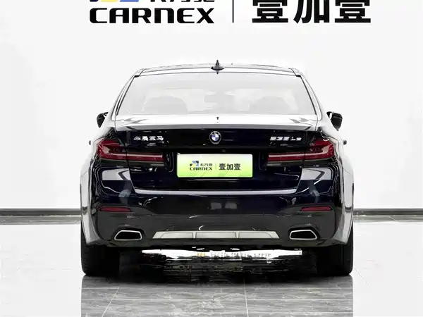 BMW 5 Series New Energy 2021
