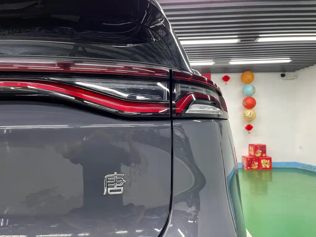BYD Tang New Energy 2021 — фото 35