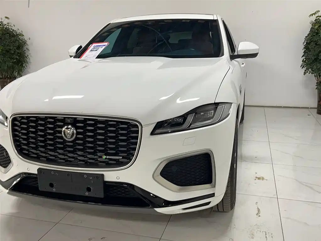 Jaguar F-PACE 2022 — фото 3