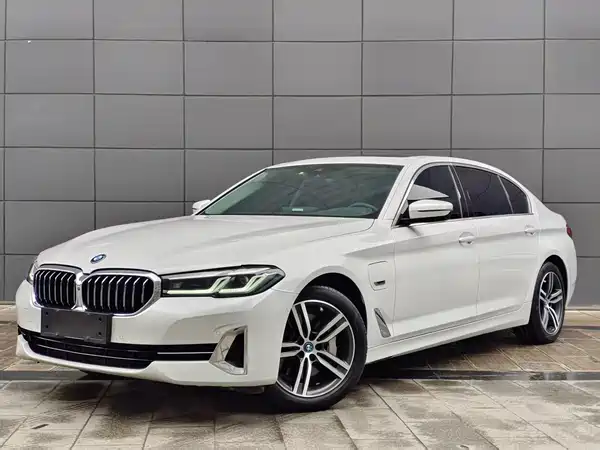 BMW 5 Series New Energy 2022