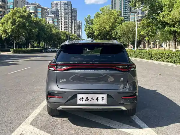 BYD Tang New Energy 2022