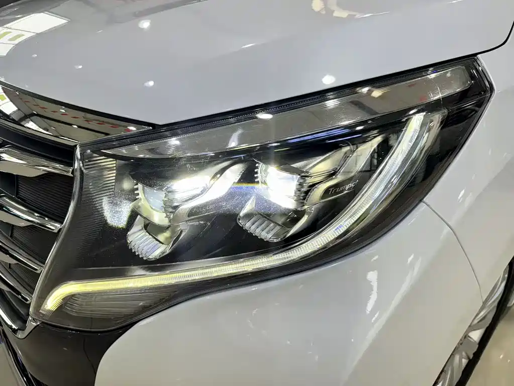 GAC Motor Trumpchi M8 2020 — фото 14