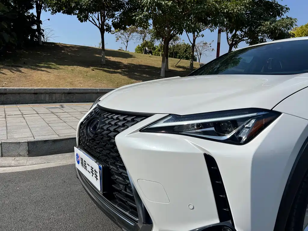 Lexus UX 2021 — фото 21