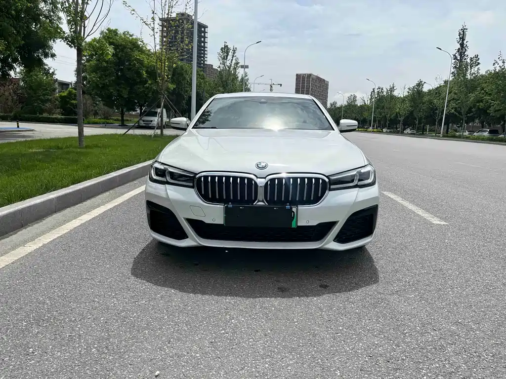 BMW 5 Series New Energy 2022