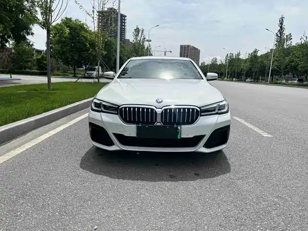 BMW 5 Series New Energy 2022