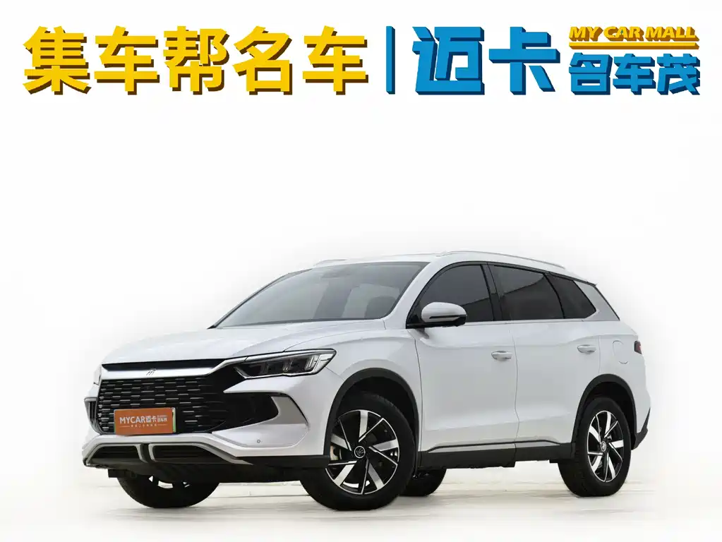 BYD Pro New Energy 2024 — фото 1